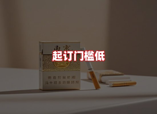 专业团队